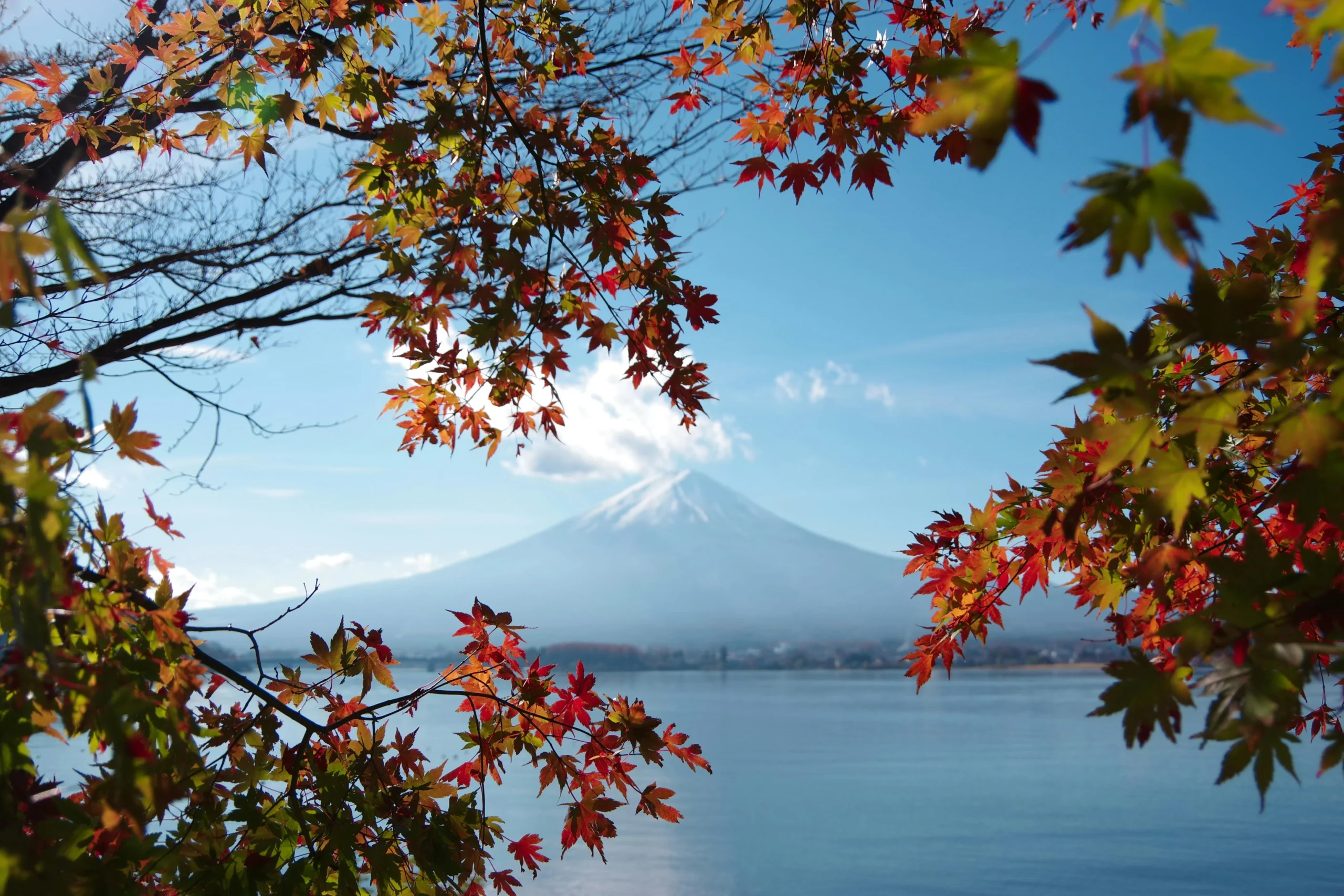 Japón en otoño - monte Fuji paisaje otoñal