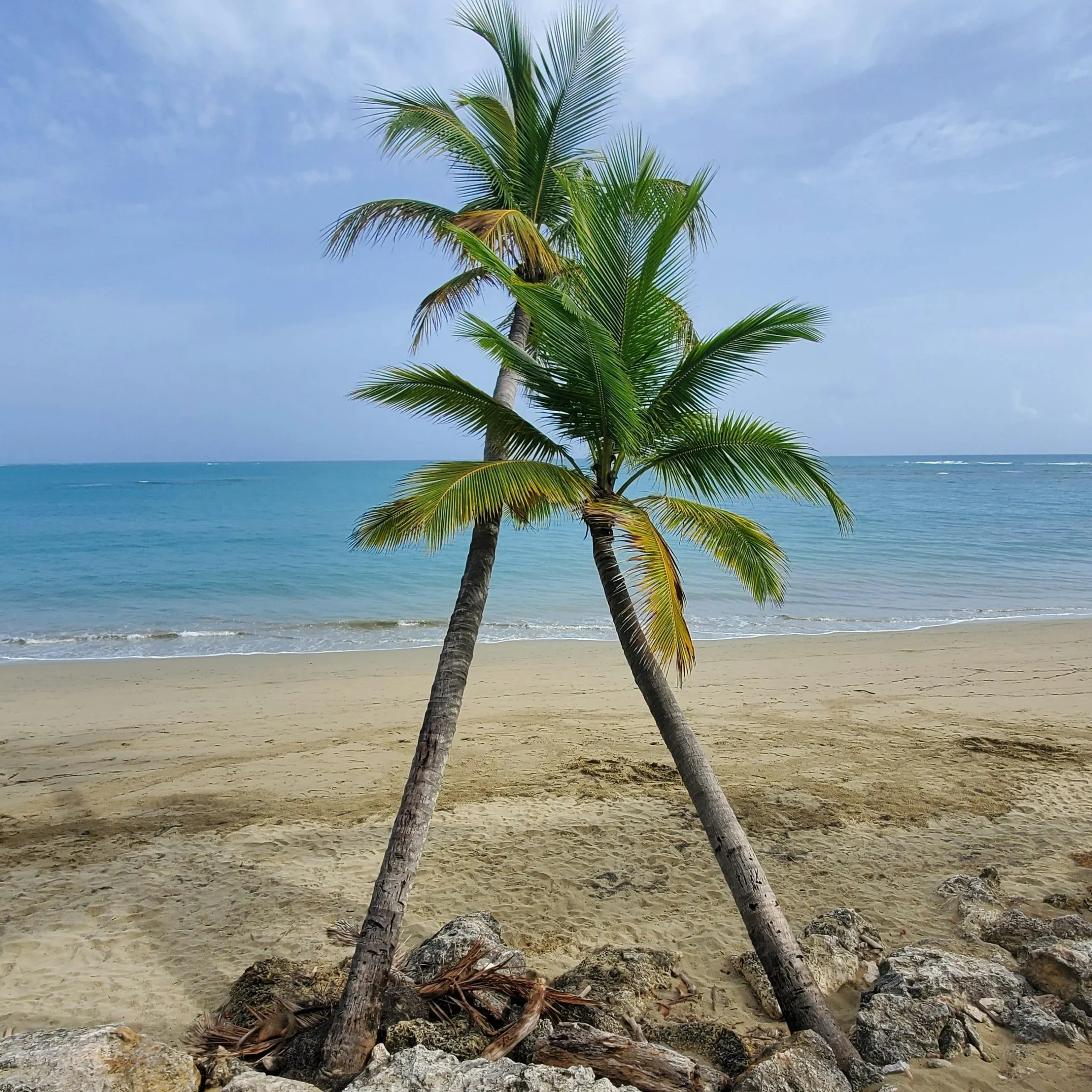 Playa Sosúa en Puerto Plata - República Dominicana