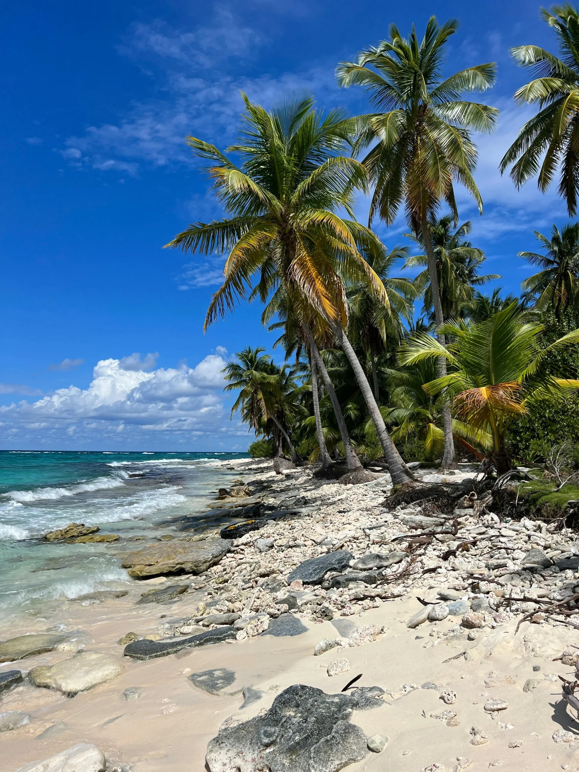 san-andres-palmeras-panamericana-viajes