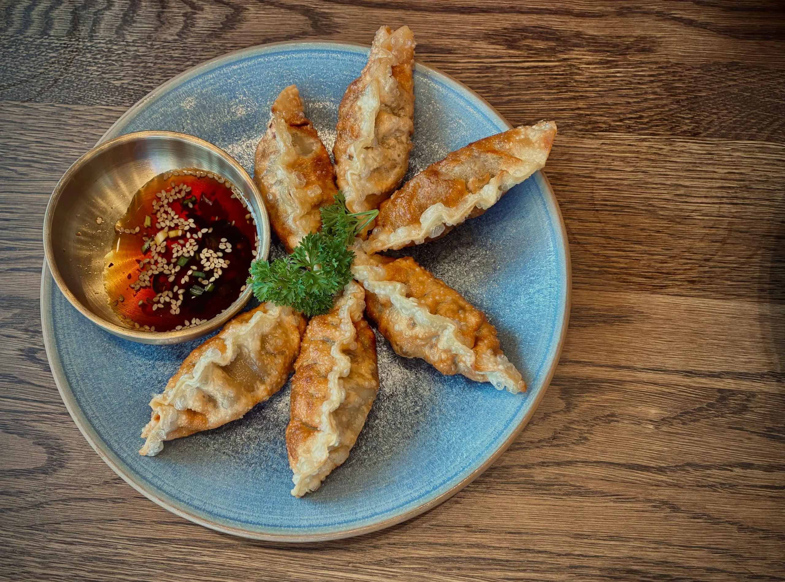 Gyoza japonesa - empanadillas fritas plato típico de Japón