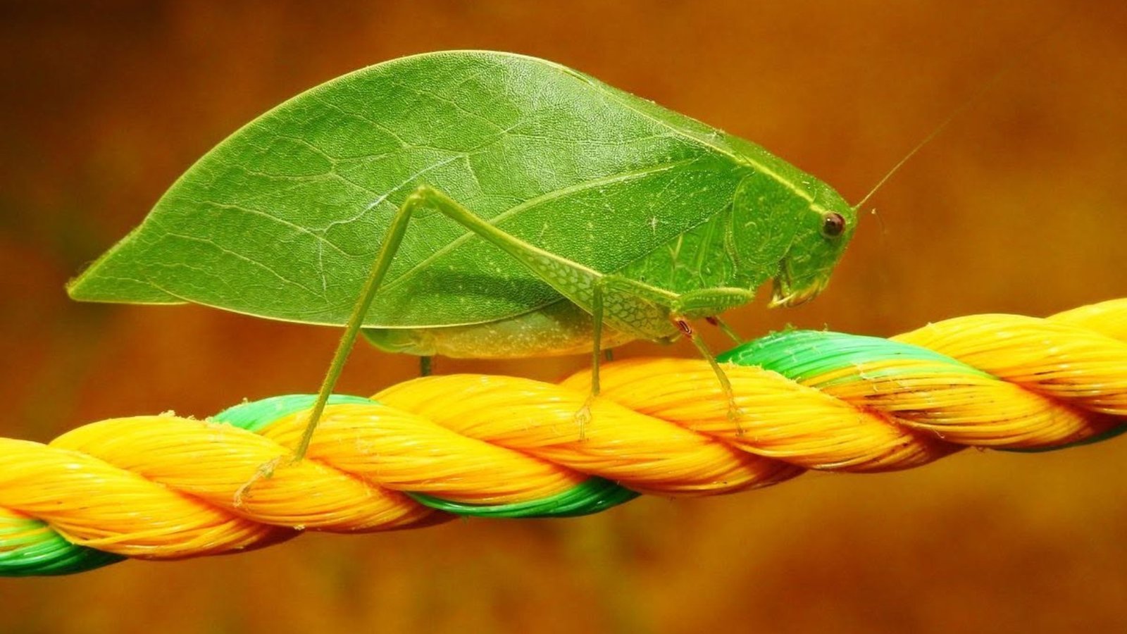 Vivarium del Caribe Cartagena con niños